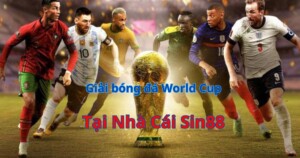 Giải bóng đá World Cup