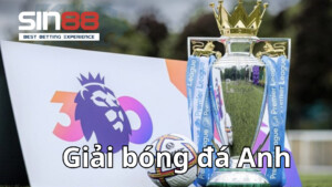 Giới thiệu giải bóng đá Anh Premier League